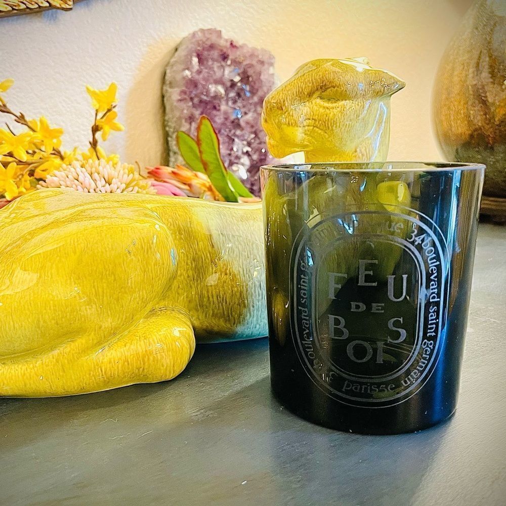 ♥️ Diptyque Feu de Bois / Wood Fire Candle smoked glass candle CONTAINER… - Picture 11 of 15